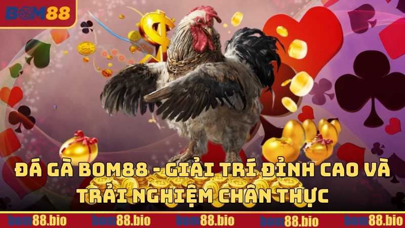 Đá gà BOM88 - Giải trí đỉnh cao và trải nghiệm chân thực