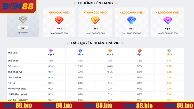 Đặc quyền dành cho thành viên VIP