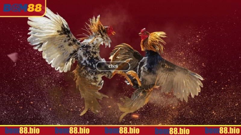 Trải nghiệm trên ứng dụng di động thân thiện